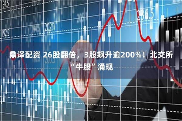 鼎泽配资 26股翻倍，3股飙升逾200%！北交所“牛股”涌现