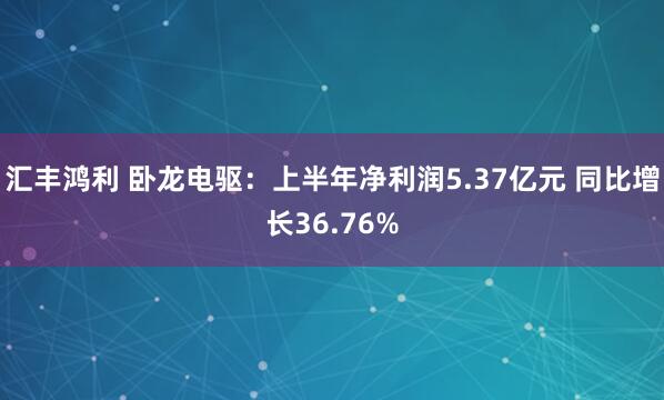 汇丰鸿利 卧龙电驱：上半年净利润5.37亿元 同比增长36.76%