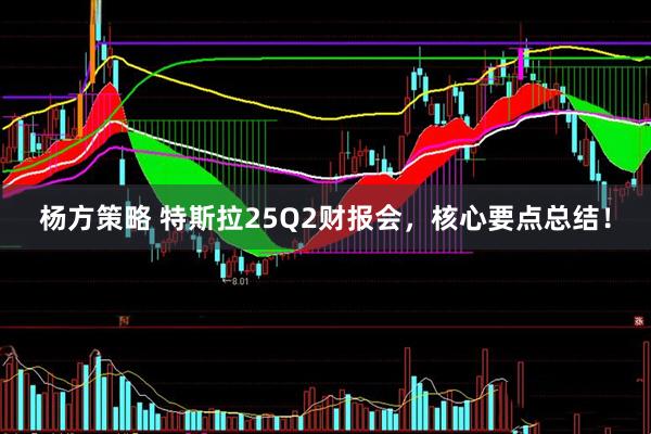 杨方策略 特斯拉25Q2财报会，核心要点总结！
